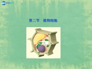 七年级生物上册 2.1.2 植物细胞课件 （新版）新人教版
