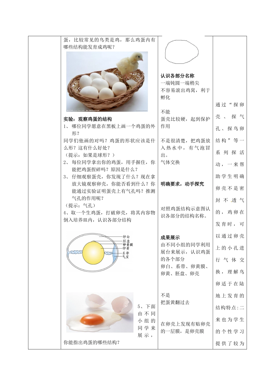 山东省枣庄市峄城区吴林街道中学八年级生物上册 4-2-3 鸟的生殖和发育教案 济南版_第3页
