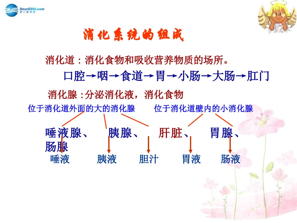 七年级生物下册 第九章 第二节 人体的消化与吸收课件2 （新版）苏教版_第3页