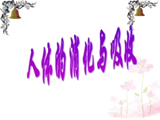 七年级生物下册 第九章 第二节 人体的消化与吸收课件2 （新版）苏教版