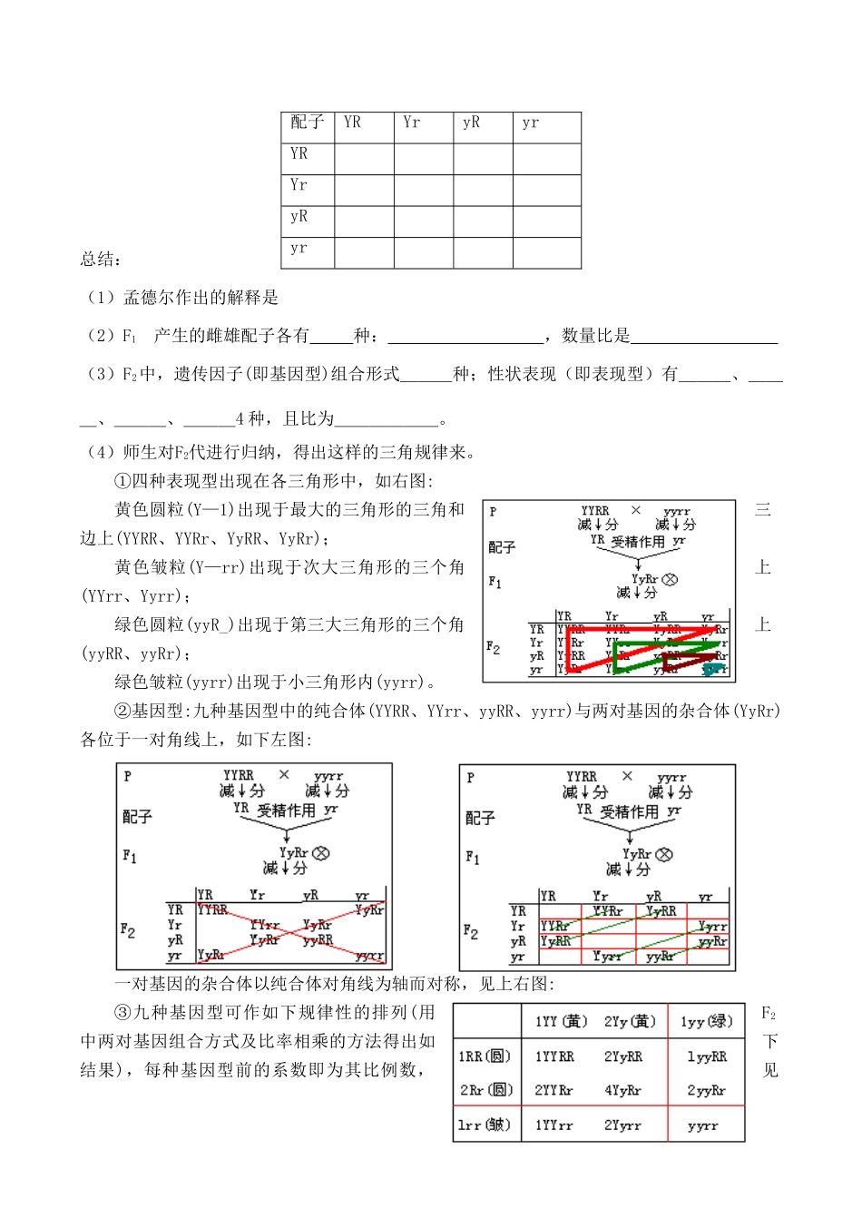 高二生物 孟德尔的豌豆杂交实验（二）_第2页