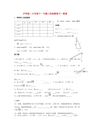 九年级数学下册专题三角函数复习教案沪科版