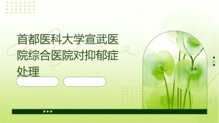 首都医科大学宣武医院综合医院对抑郁症处理(完成)附件课件