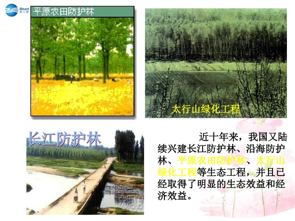 七年级生物下册 第十三章 第二节 保护生物圈-从自身做起课件4 （新版）苏教版_第2页