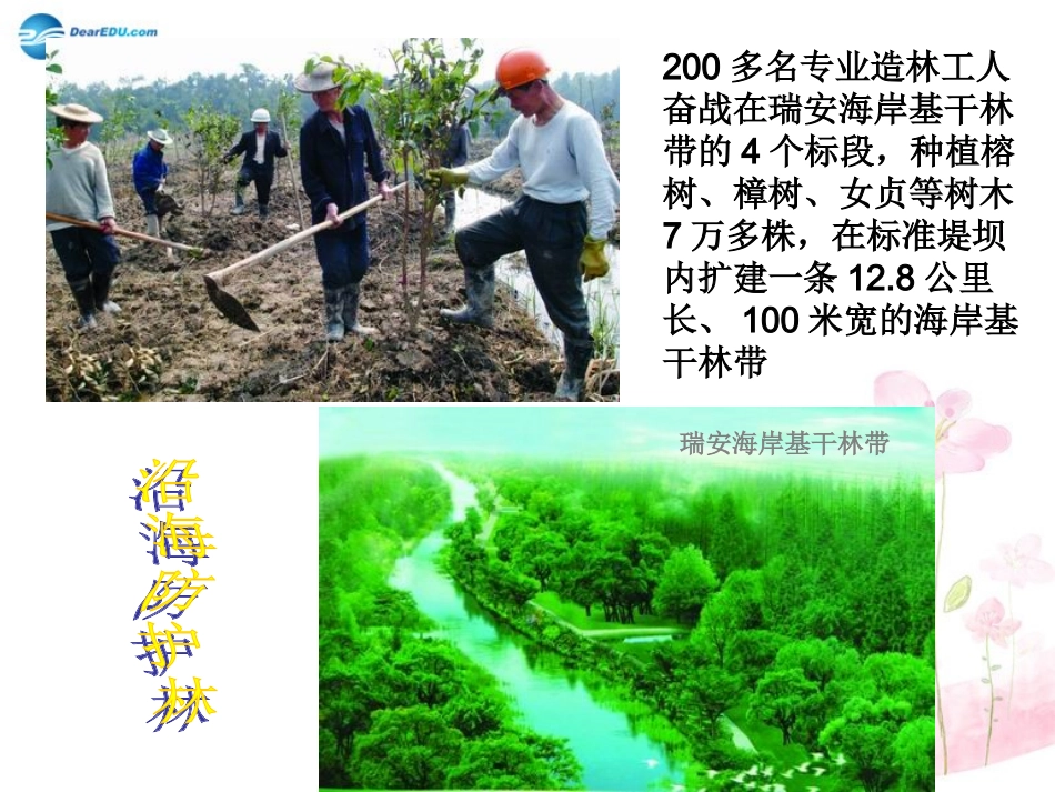 七年级生物下册 第十三章 第二节 保护生物圈-从自身做起课件4 （新版）苏教版_第3页