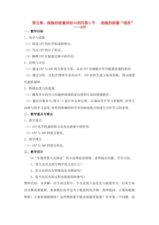 高中生物 5.2细胞的能量通货—ATP教案 新人教版必修1