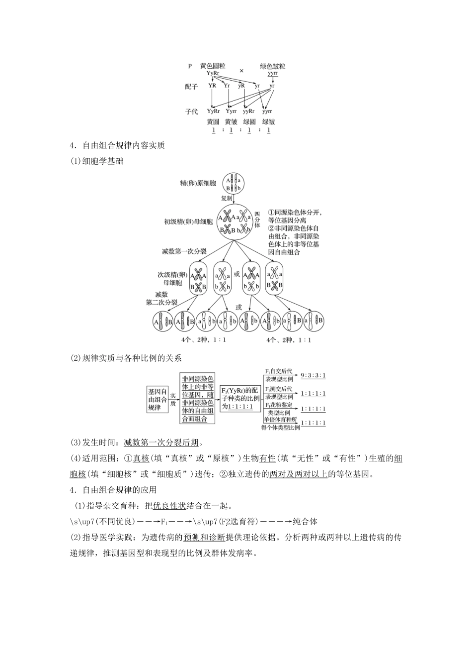 高考生物新导学大一轮复习 第六单元 遗传信息的传递规律 第18讲 基因的自由组合规律讲义（含解析）北师大版-北师大版高三全册生物教案_第2页