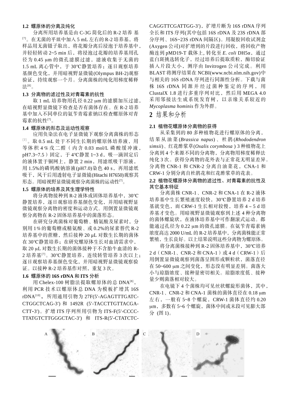 3种植物花螺原体的分离及其基本特性-生物谷-生物医药门户_第2页