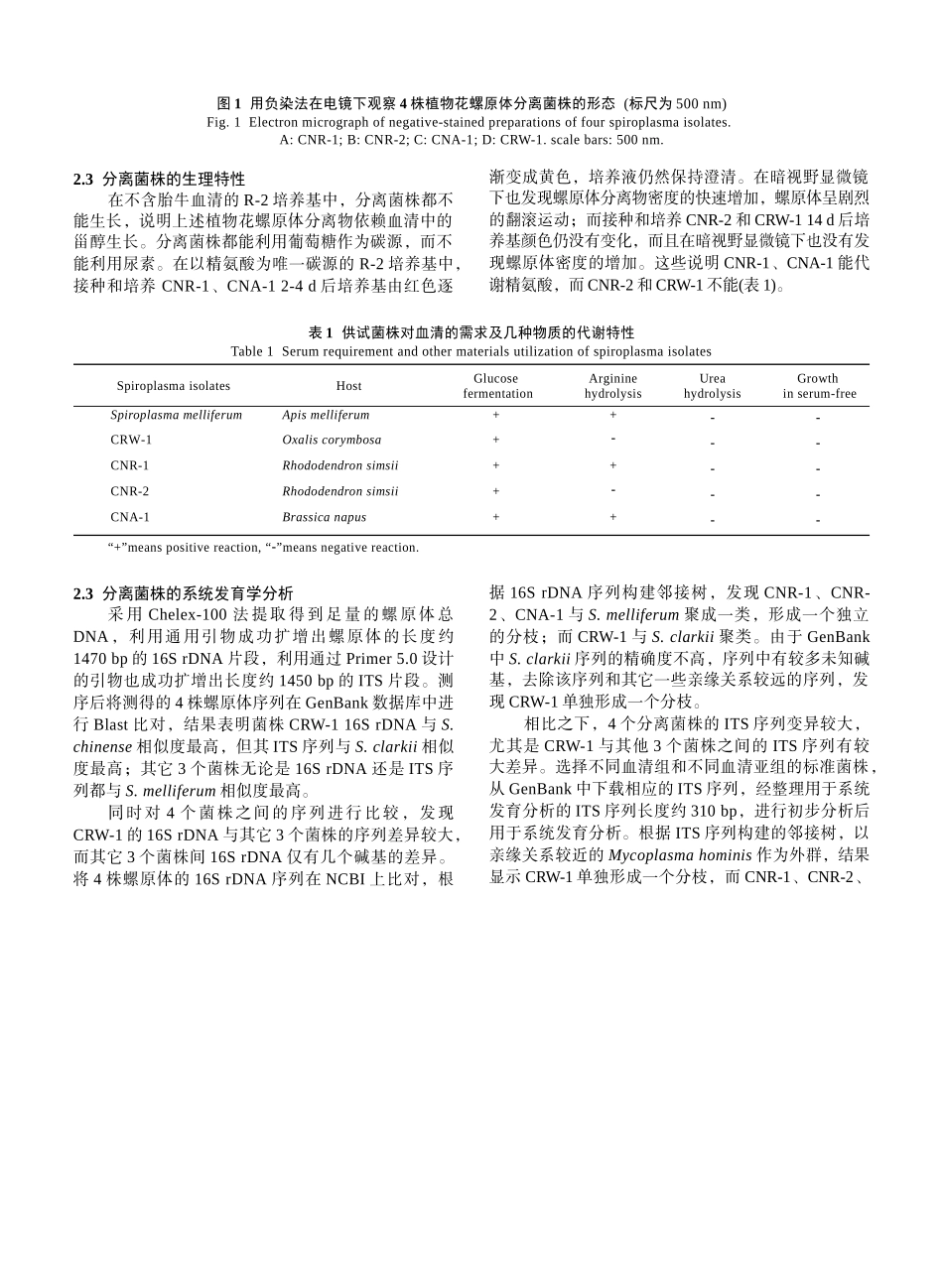 3种植物花螺原体的分离及其基本特性-生物谷-生物医药门户_第3页