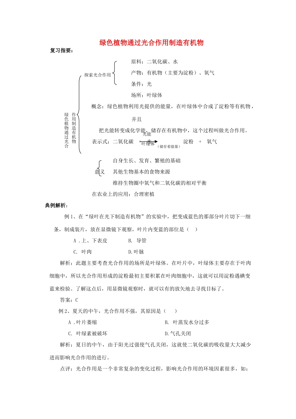 七年级生物上册 绿色植物通过光合作用制造有机物复习教案 人教新课标版_第1页