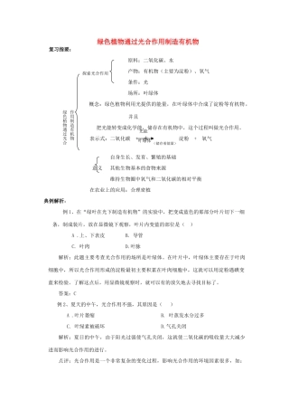 七年级生物上册 绿色植物通过光合作用制造有机物复习教案 人教新课标版