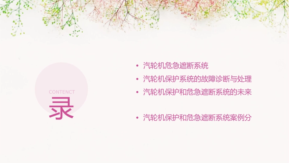 汽轮机的保护和危急遮断系统资料课件_第2页