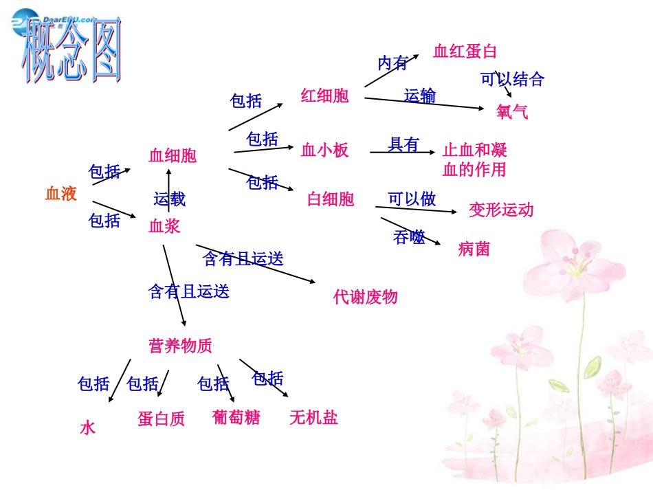 七年级生物下册 第十章 第二节 人体的血液循环课件1 （新版）苏教版_第3页