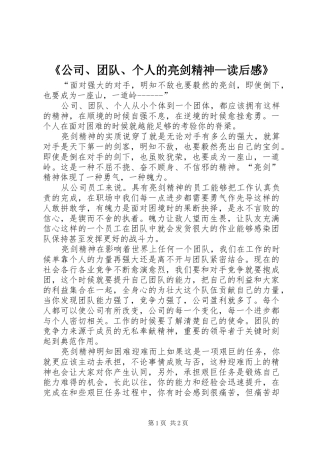 《公司、团队、个人的亮剑精神—读后感》 