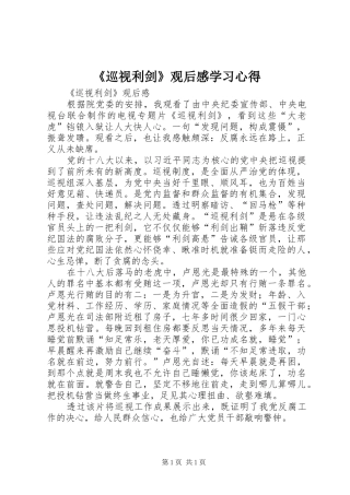 《巡视利剑》观后感学习心得 