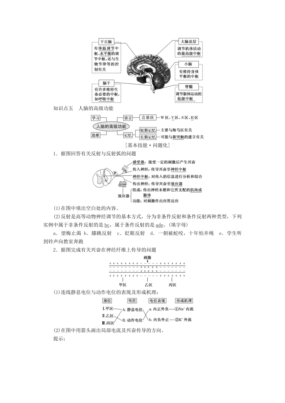 高考生物一轮复习 第八单元 动物和人体生命活动的调节 第二讲 通过神经系统的调节精选教案-人教版高三全册生物教案_第2页