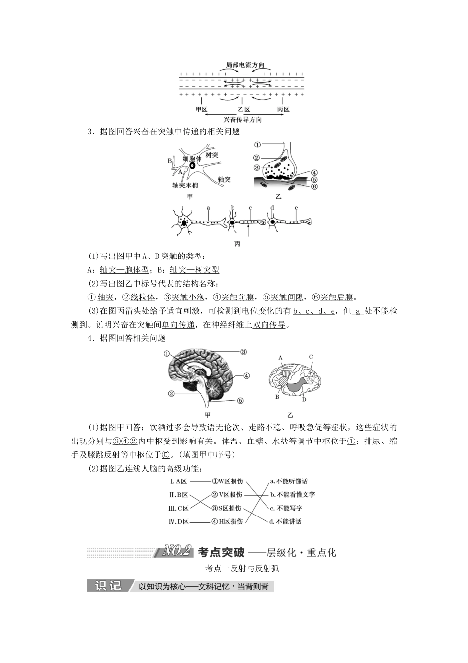 高考生物一轮复习 第八单元 动物和人体生命活动的调节 第二讲 通过神经系统的调节精选教案-人教版高三全册生物教案_第3页