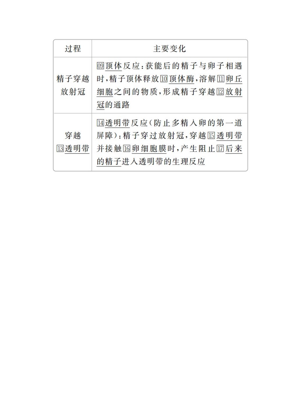 高中生物 专题3 胚胎工程 3.1 第2课时 受精、胚胎发育教案 新人教版选修3-新人教版高二选修3生物教案_第2页