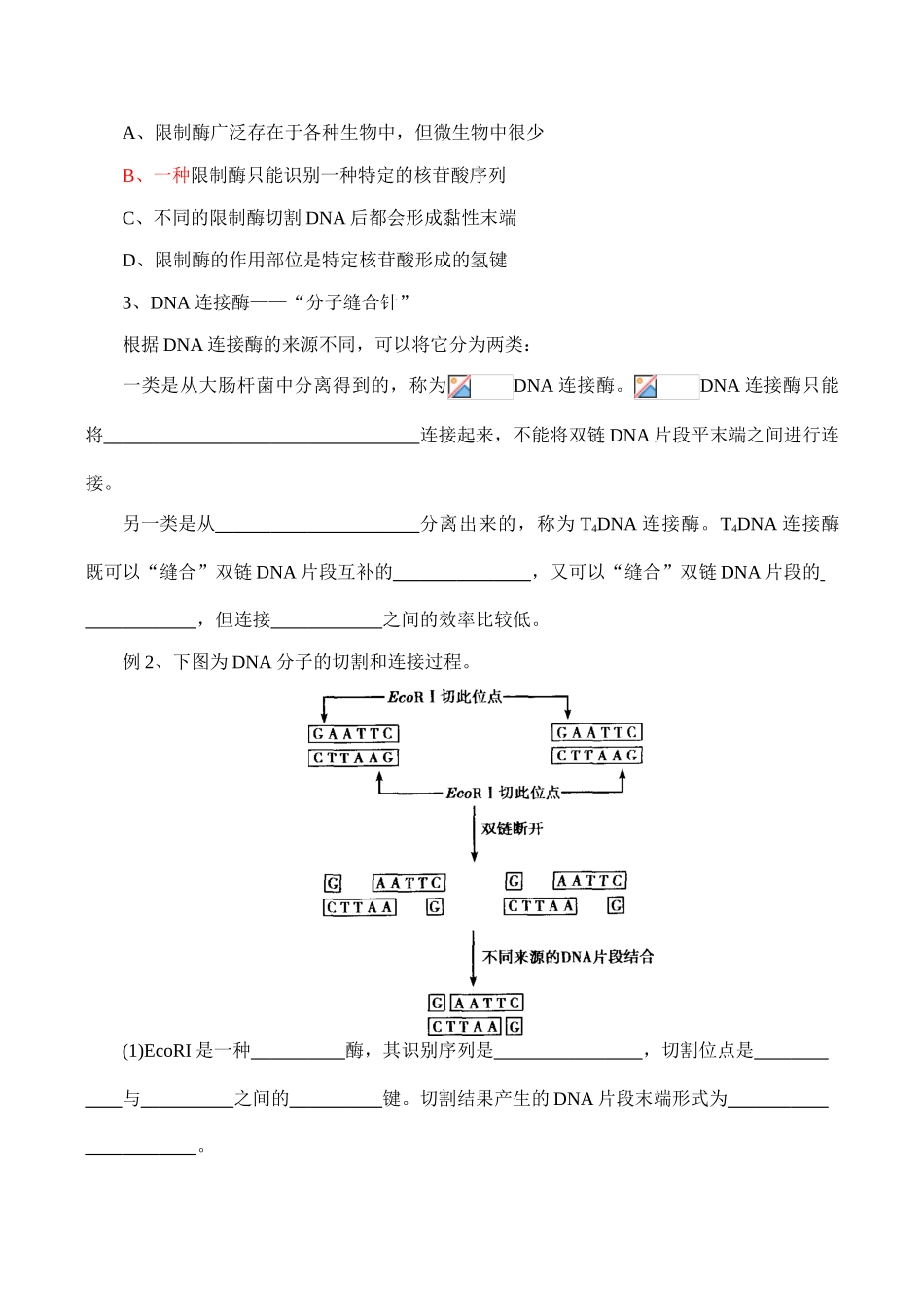 高二生物选修3 专题1 基因工程 DNA重组技术的基本工具_第2页