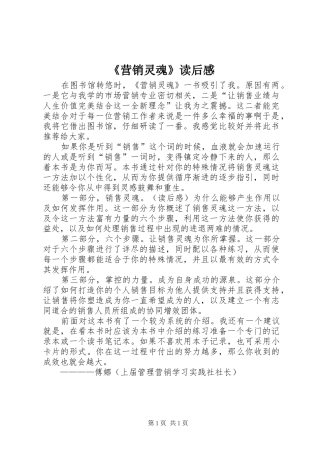 《营销灵魂》读后感 