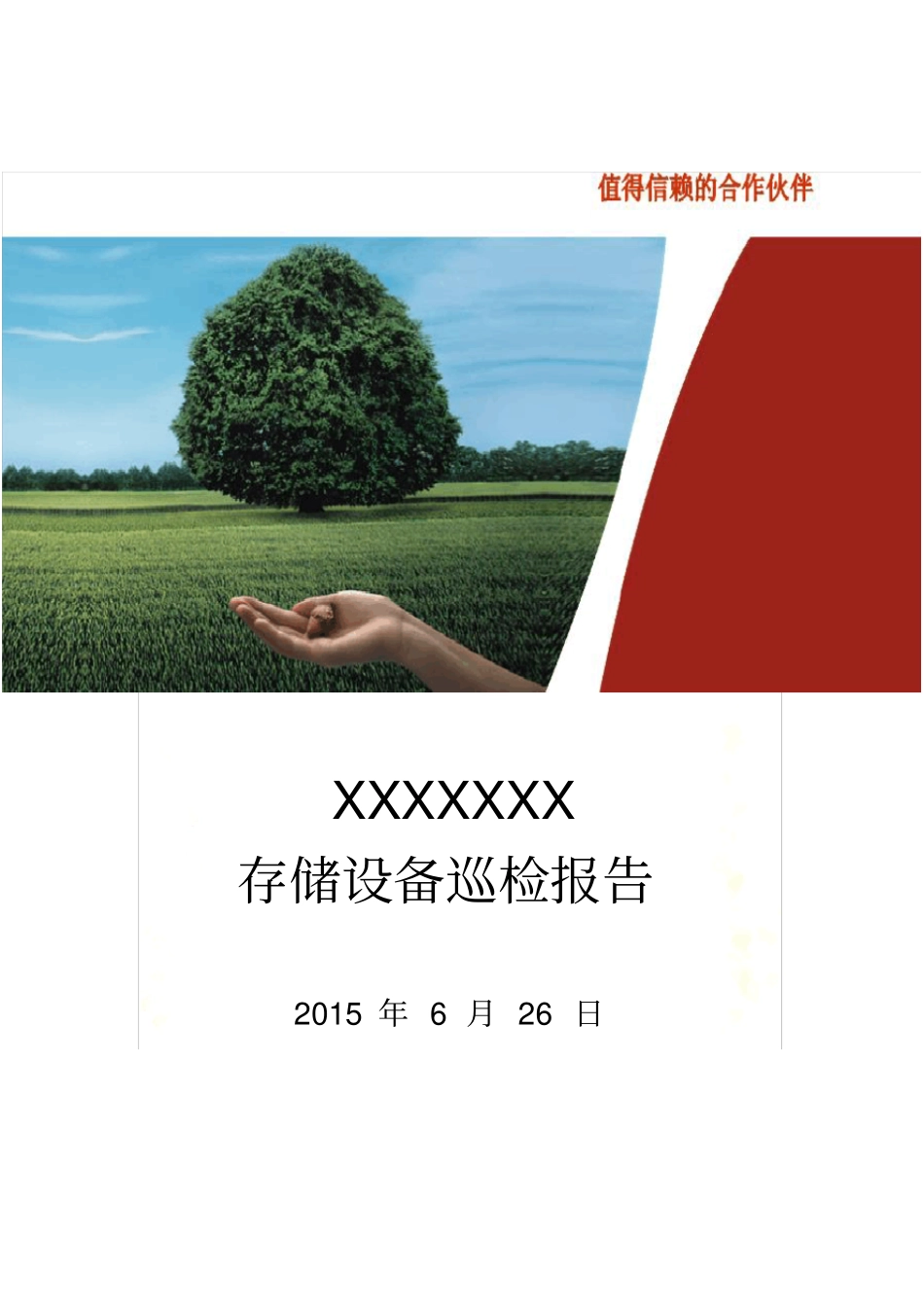 存储设备巡检报告v1.0_第2页