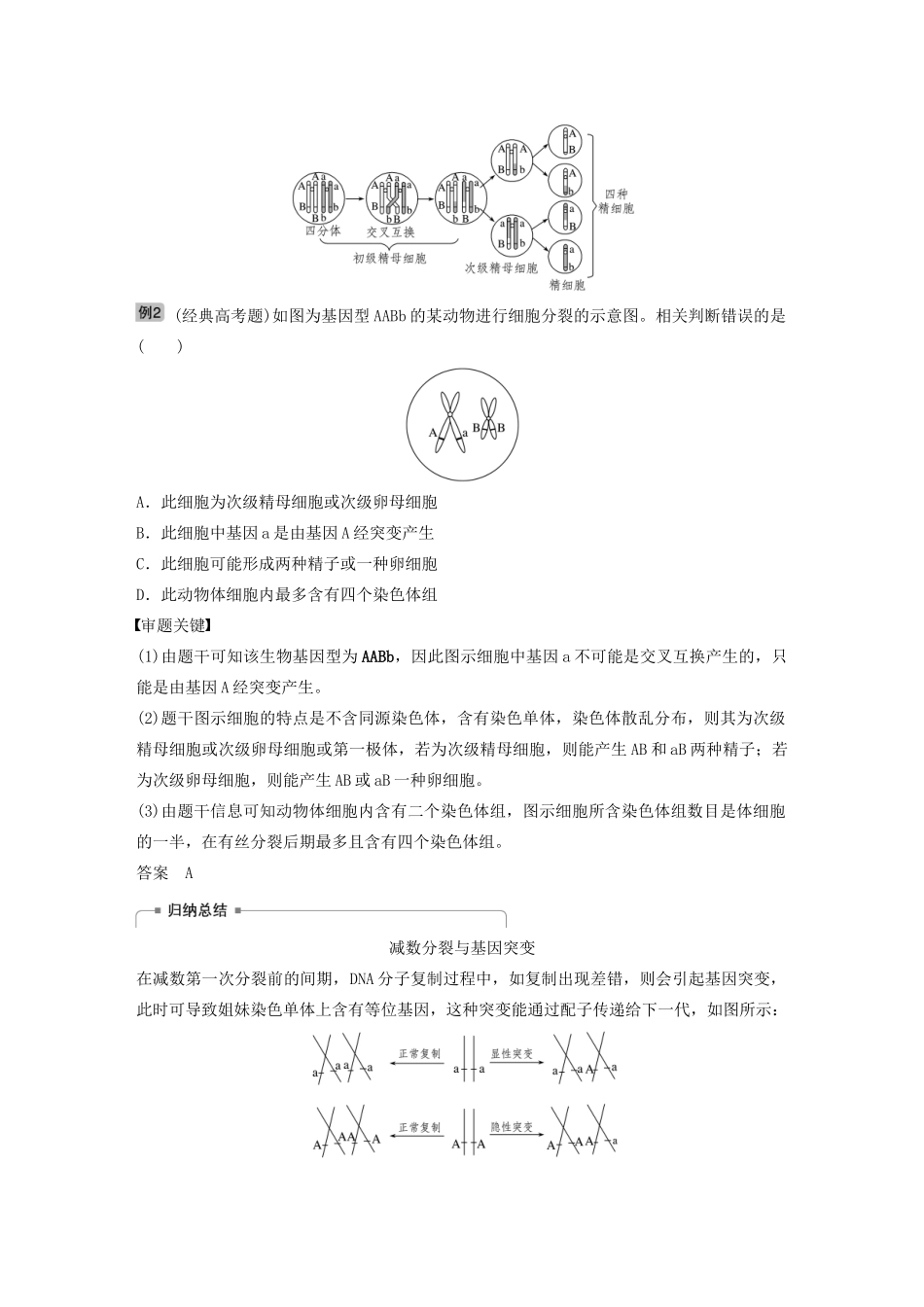 高考生物新导学大一轮复习 第四单元 细胞的生命历程 热点题型四 透过细胞分裂图像解决减数分裂与可遗传变异的关系讲义（含解析）北师大版-北师大版高三全册生物教案_第2页