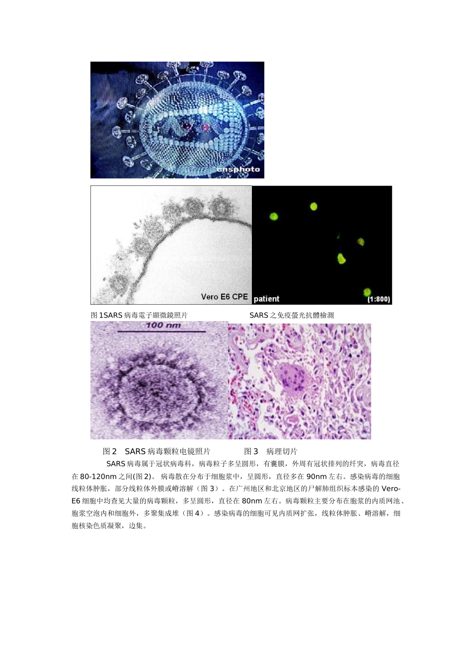 [教案]从生物圈到细胞_第2页