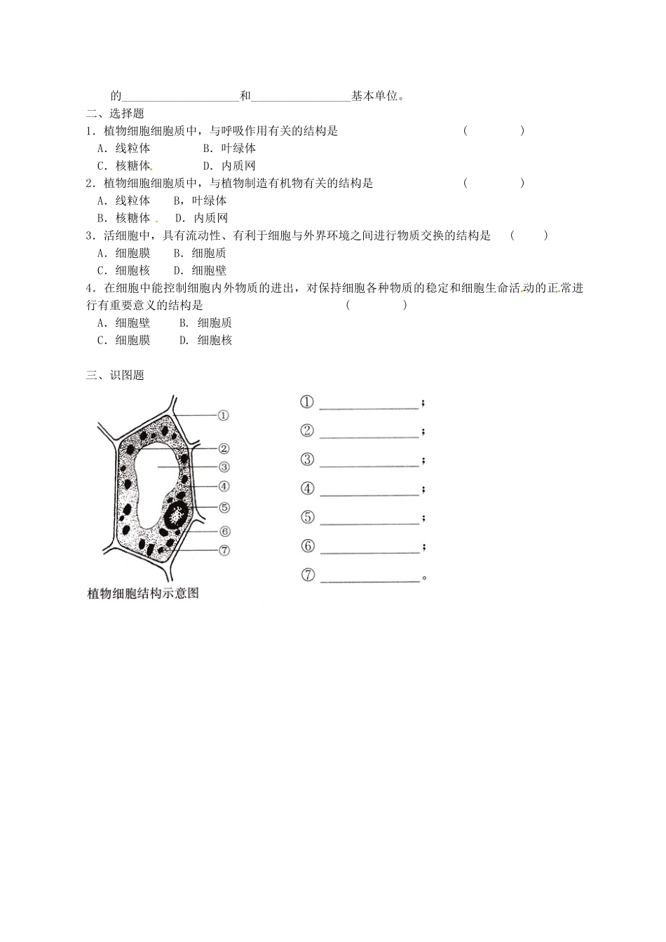 七年级生物上册 第3章 第1节 植物细胞的结构和功能教案2 苏教版-苏教版初中七年级上册生物教案_第3页