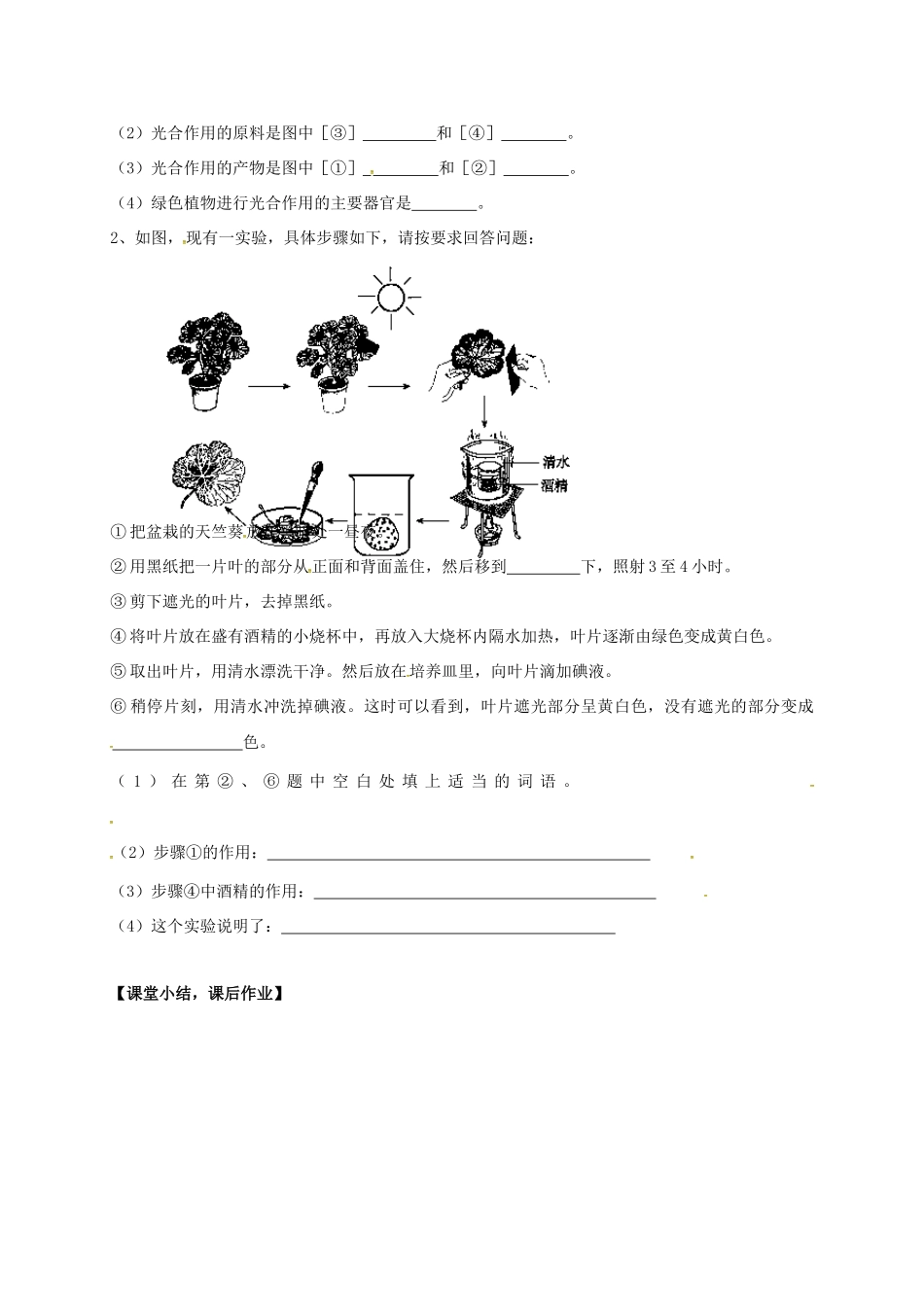 七年级生物上册 4.1 植物的光合作用教案2 （新版）苏科版-（新版）苏科版初中七年级上册生物教案_第3页