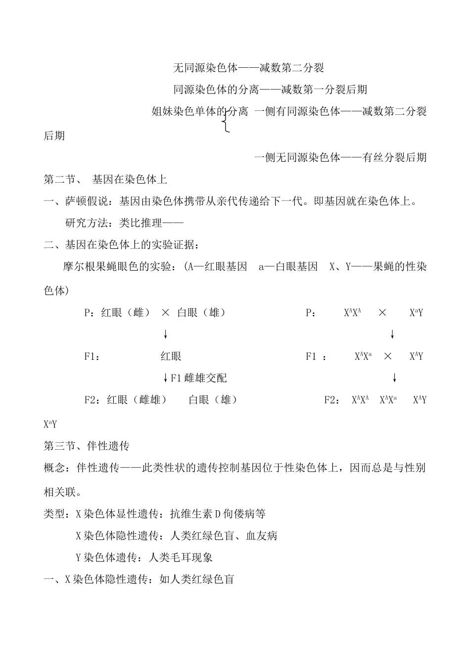 高中生物人教版必修2基因和染色体的关系_第3页