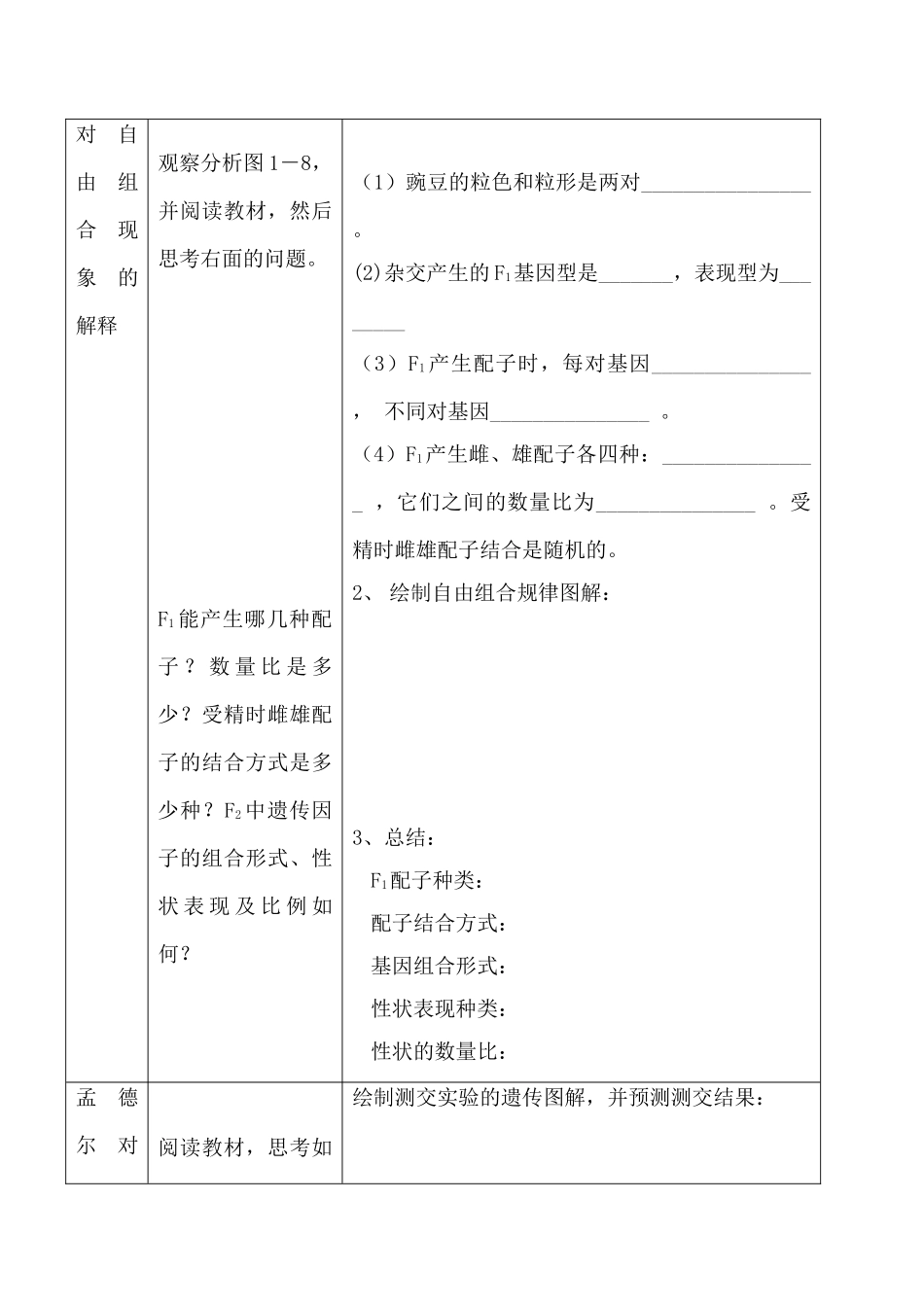 高中生物人教版必修2孟德尔的豌豆杂交试验（二）_第2页