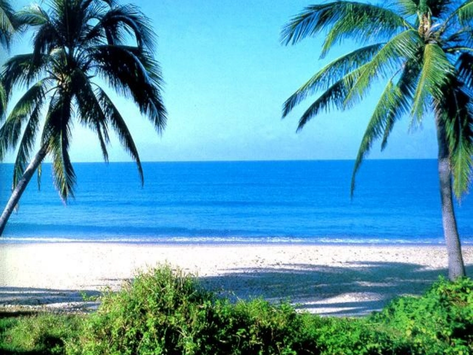 宁夏银川市第十六中学八年级地理上册 3.4 中国的海洋资源课件 （新版）湘教版_第3页