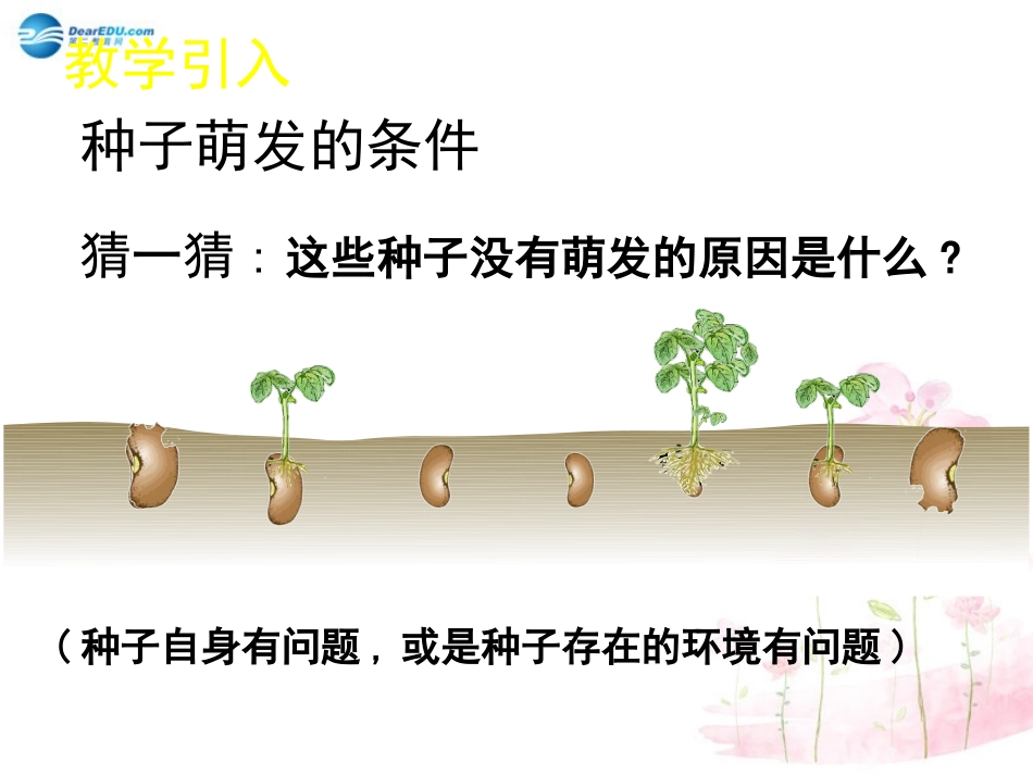 七年级生物上册 第6章 第1节 种子萌发形成幼苗课件2 北师大版_第2页