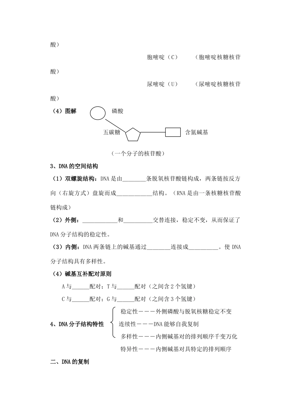高二生物DNA的结构和复制教案_第2页