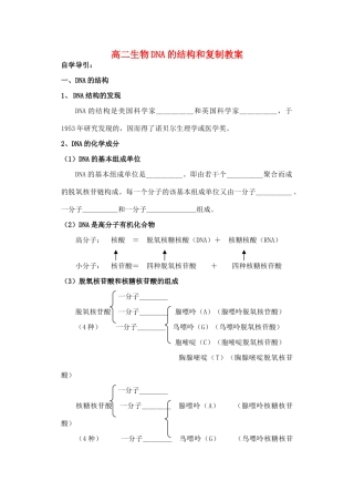 高二生物DNA的结构和复制教案