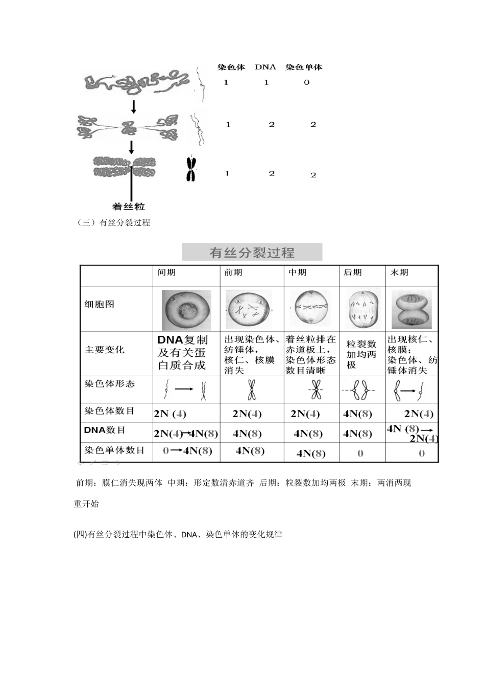 高中生物： 第4章 细胞的增殖与分化（教案）浙科版必修1_第2页