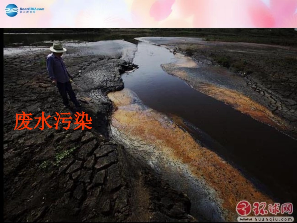 山东省泰安市新泰七年级生物下册 第七章 第三节 拟定保护生态环境的计划课件 新人教版_第1页