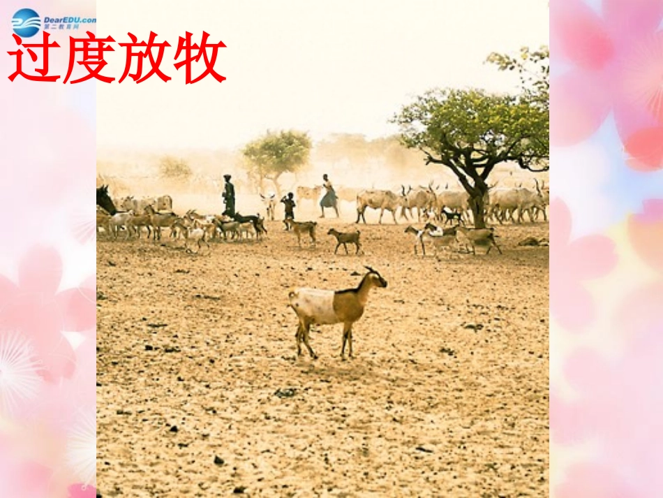 山东省泰安市新泰七年级生物下册 第七章 第三节 拟定保护生态环境的计划课件 新人教版_第3页