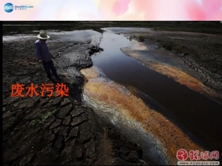 山东省泰安市新泰七年级生物下册 第七章 第三节 拟定保护生态环境的计划课件 新人教版