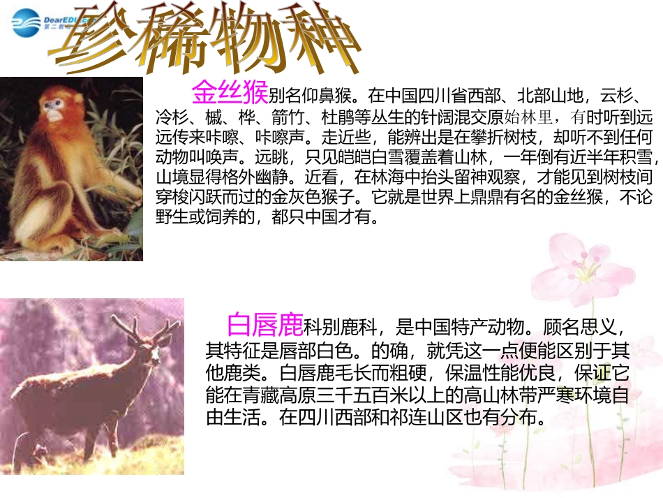 七年级生物下册 第十三章 第二节 保护生物圈-从自身做起课件2 （新版）苏教版_第2页