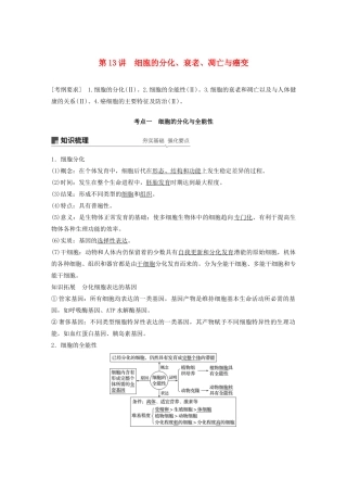 高考生物新导学大一轮复习 第四单元 细胞的生命历程 第13讲 细胞的分化、衰老、凋亡与癌变讲义（含解析）北师大版-北师大版高三全册生物教案