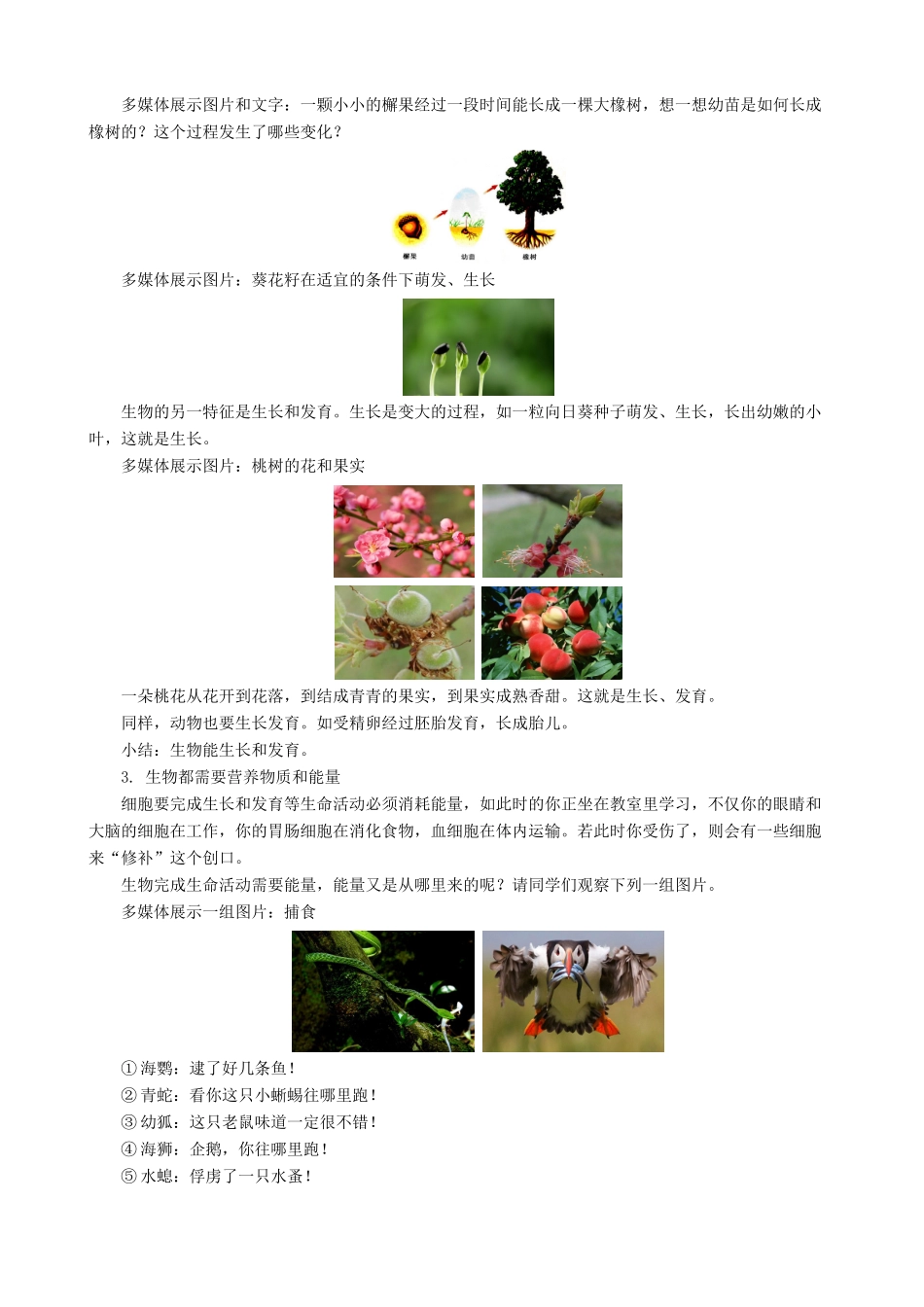 七年级生物上册 1.1.1生物与生物学教案 （新版）苏科版-（新版）苏科版初中七年级上册生物教案_第3页