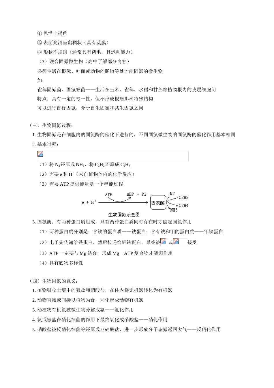 高三生物新课 生物固氮 人教版_第3页