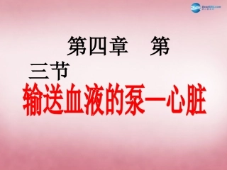 山东省肥城市王庄镇初级中学七年级生物下册 4.4.3 输送血液的泵课件 新人教版