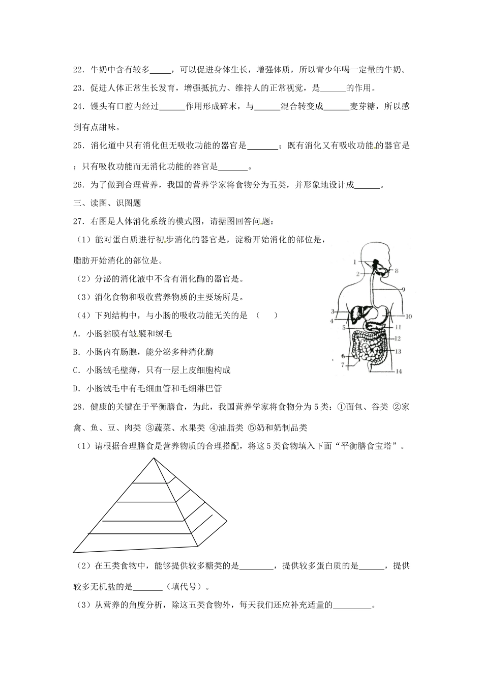 七年级生物上册 第二章人体的营养教案 北师大版_第3页