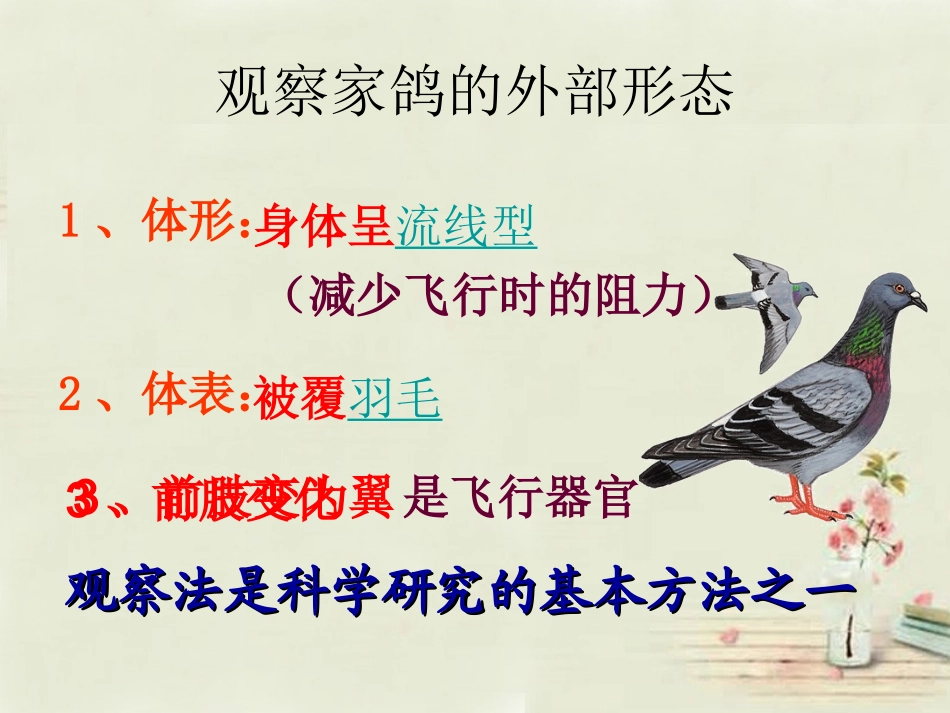 七年级生物上册 2.2.2 脊椎动物的主要类群-鸟类课件 （新版）济南版_第2页