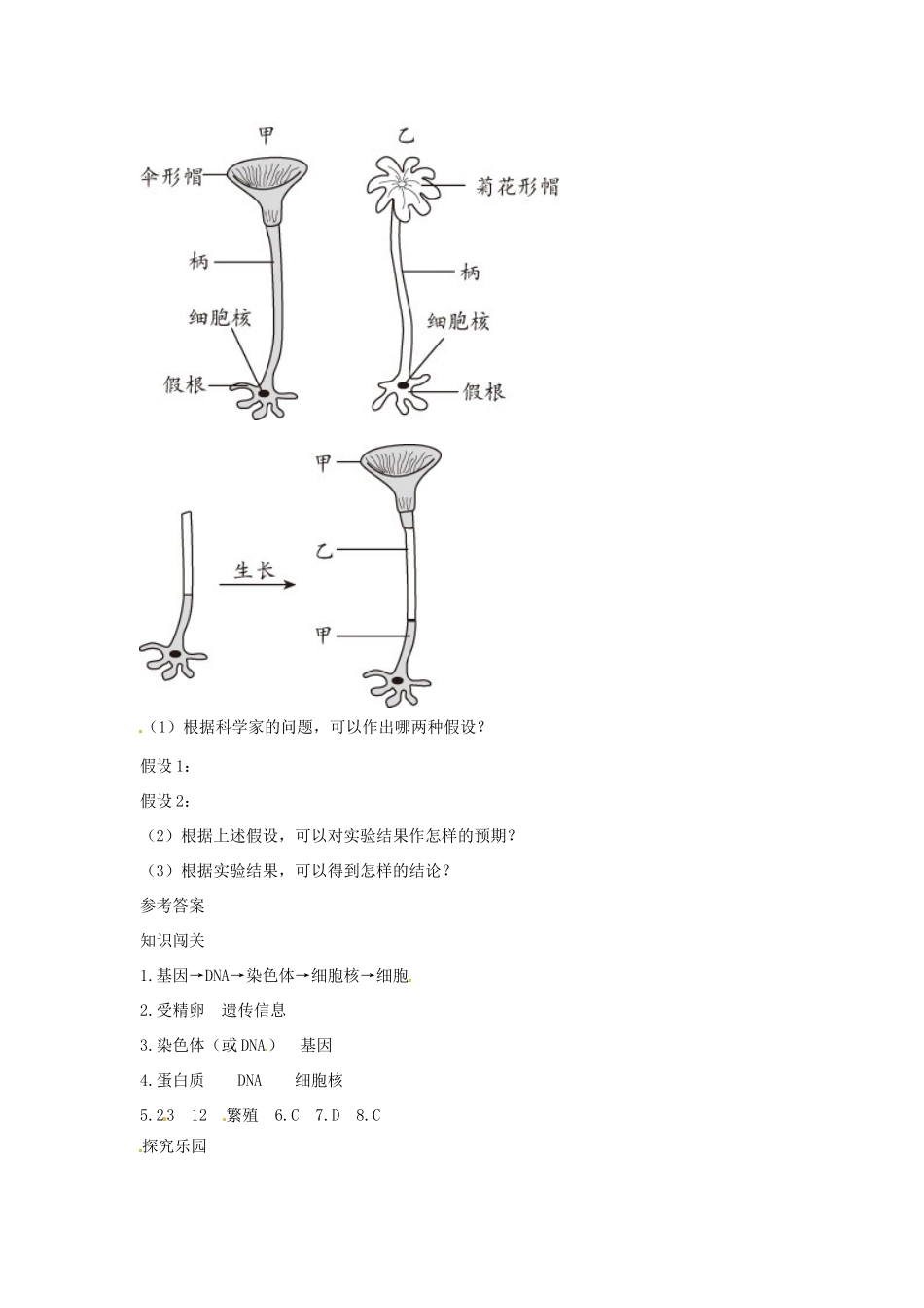 七年级生物上册 第二节 细胞核是遗传信息库解析与测评教案 人教版_第3页
