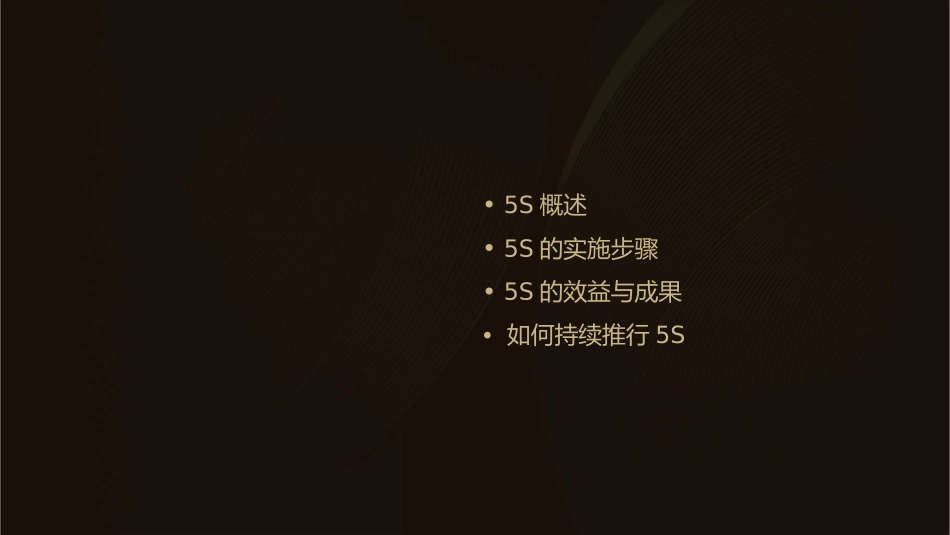 工厂5S执行方案课件_第2页