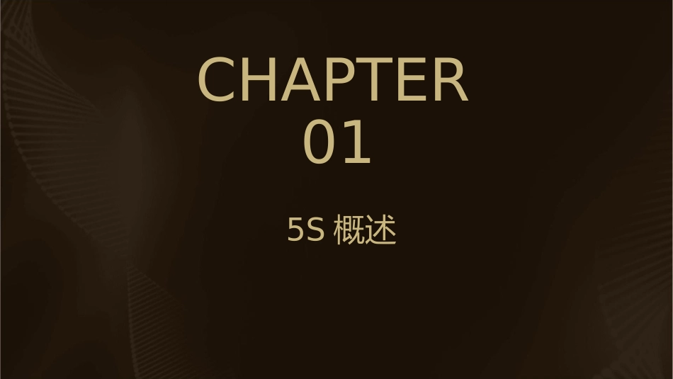工厂5S执行方案课件_第3页