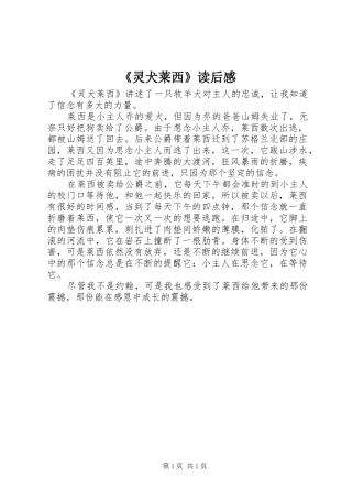 《灵犬莱西》读后感 